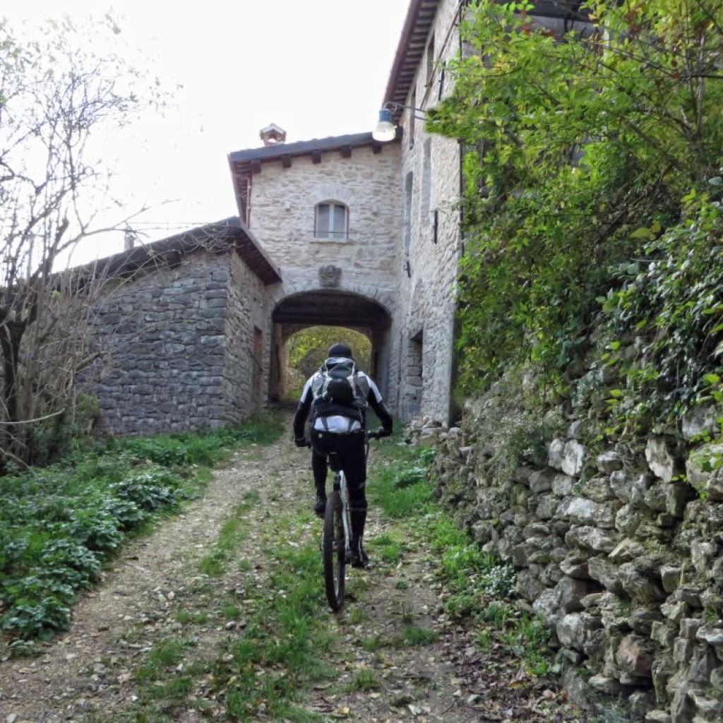 COLLE DI CARDINE 31 10 2015 157