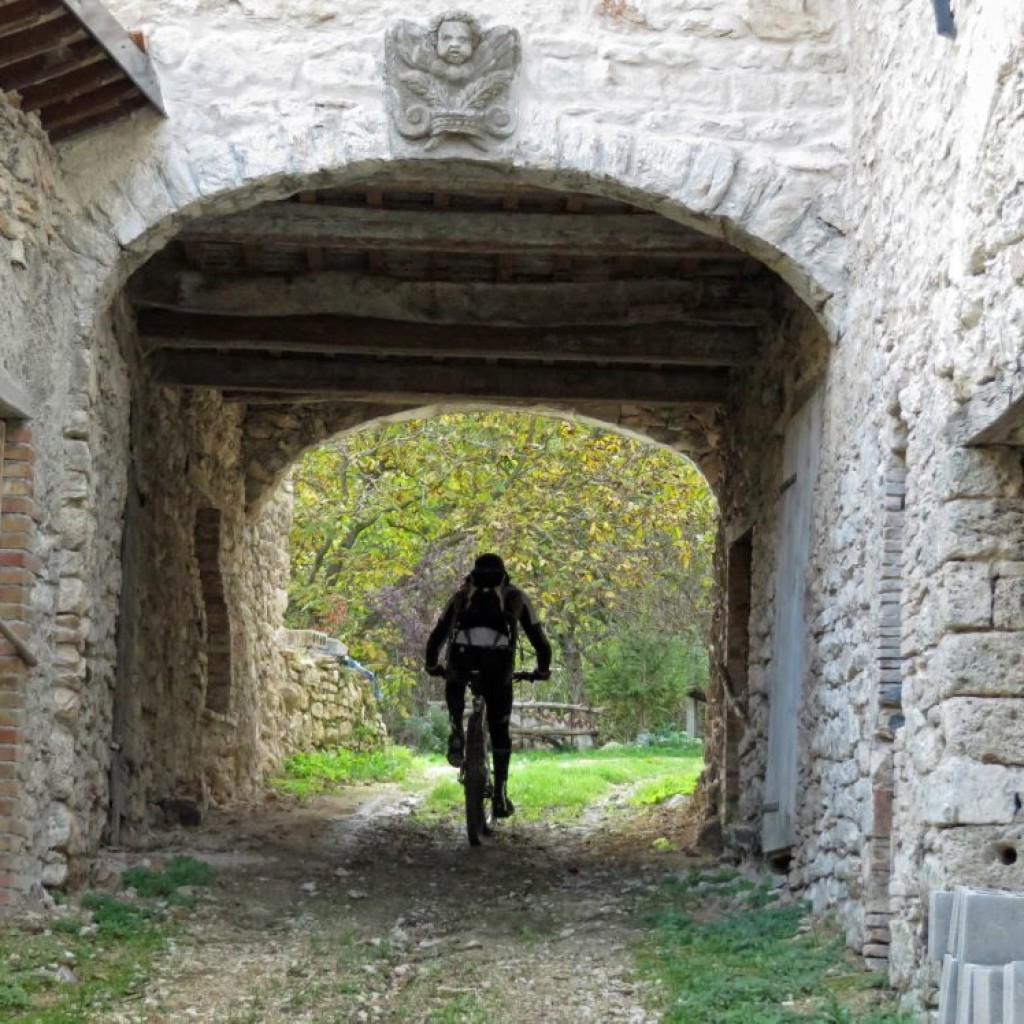 COLLE DI CARDINE 31 10 2015 172