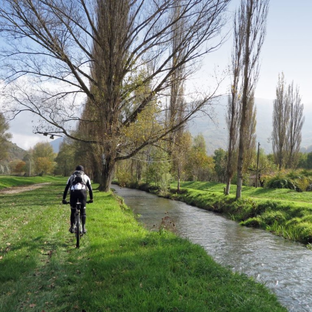 COLLE DI CARDINE 31 10 2015 259