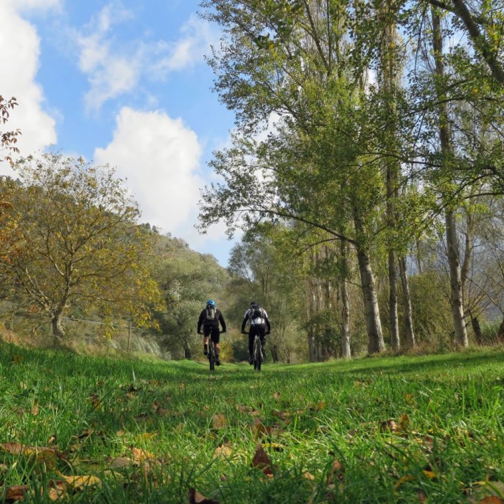 COLLE DI CARDINE 31 10 2015 300