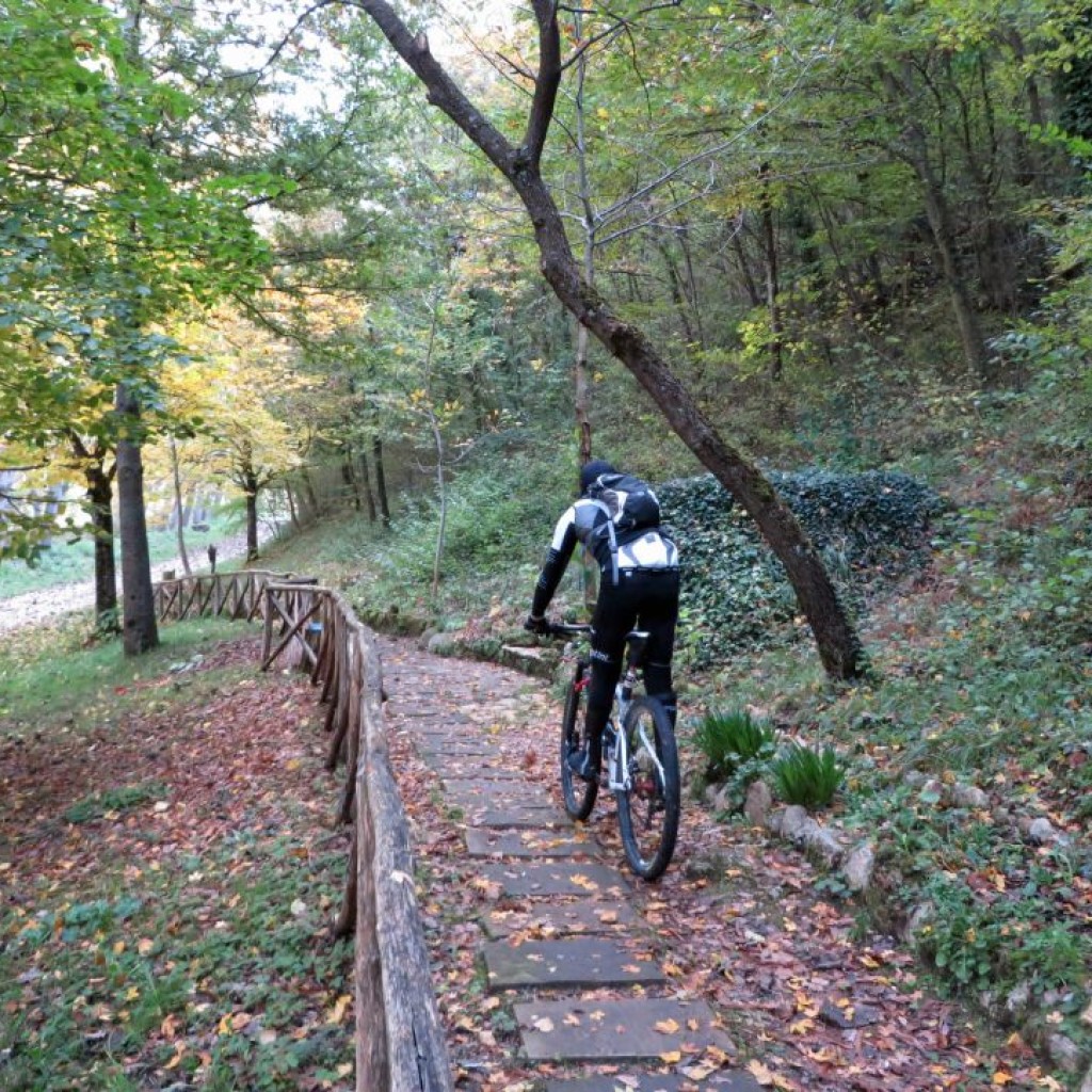 COLLE DI CARDINE 31 10 2015 333
