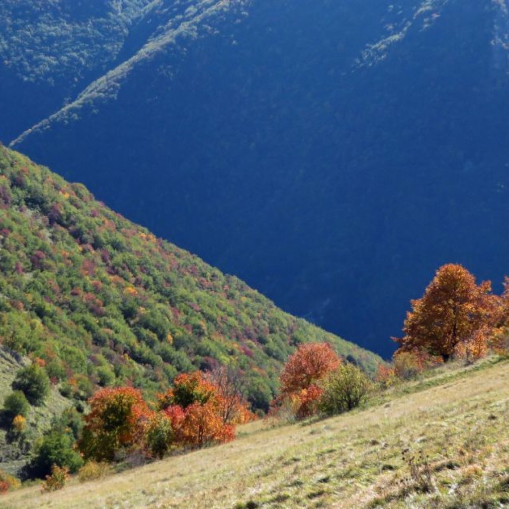 CROCE DI MONTE ROTONDO 17 10 2015 046