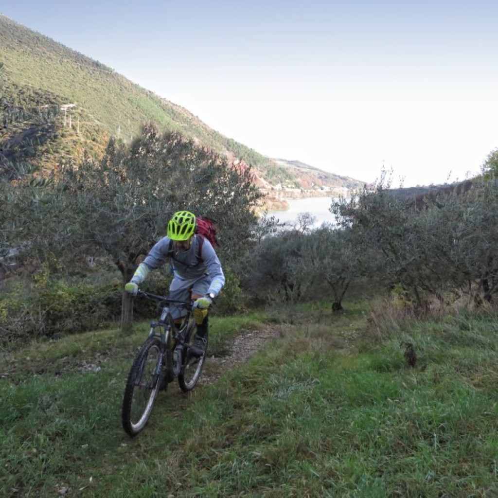 cammino francescano della marca