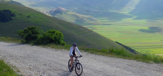 FIORITURA CASTELLUCCIO  06 07 2013 027