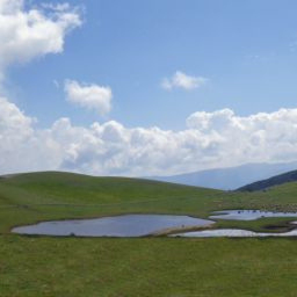 FIORITURA CASTELLUCCIO  06 07 2013 118