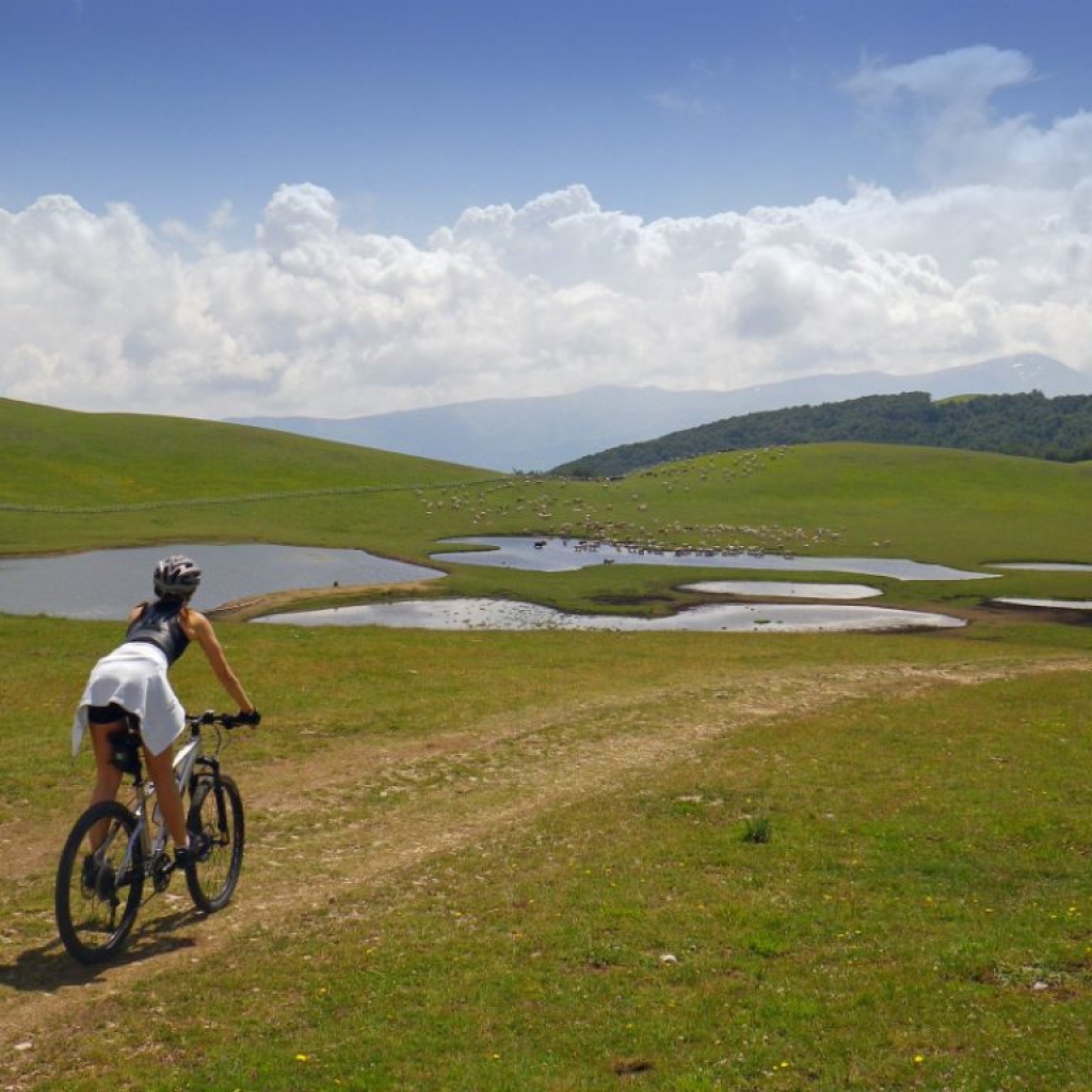 FIORITURA CASTELLUCCIO  06 07 2013 126