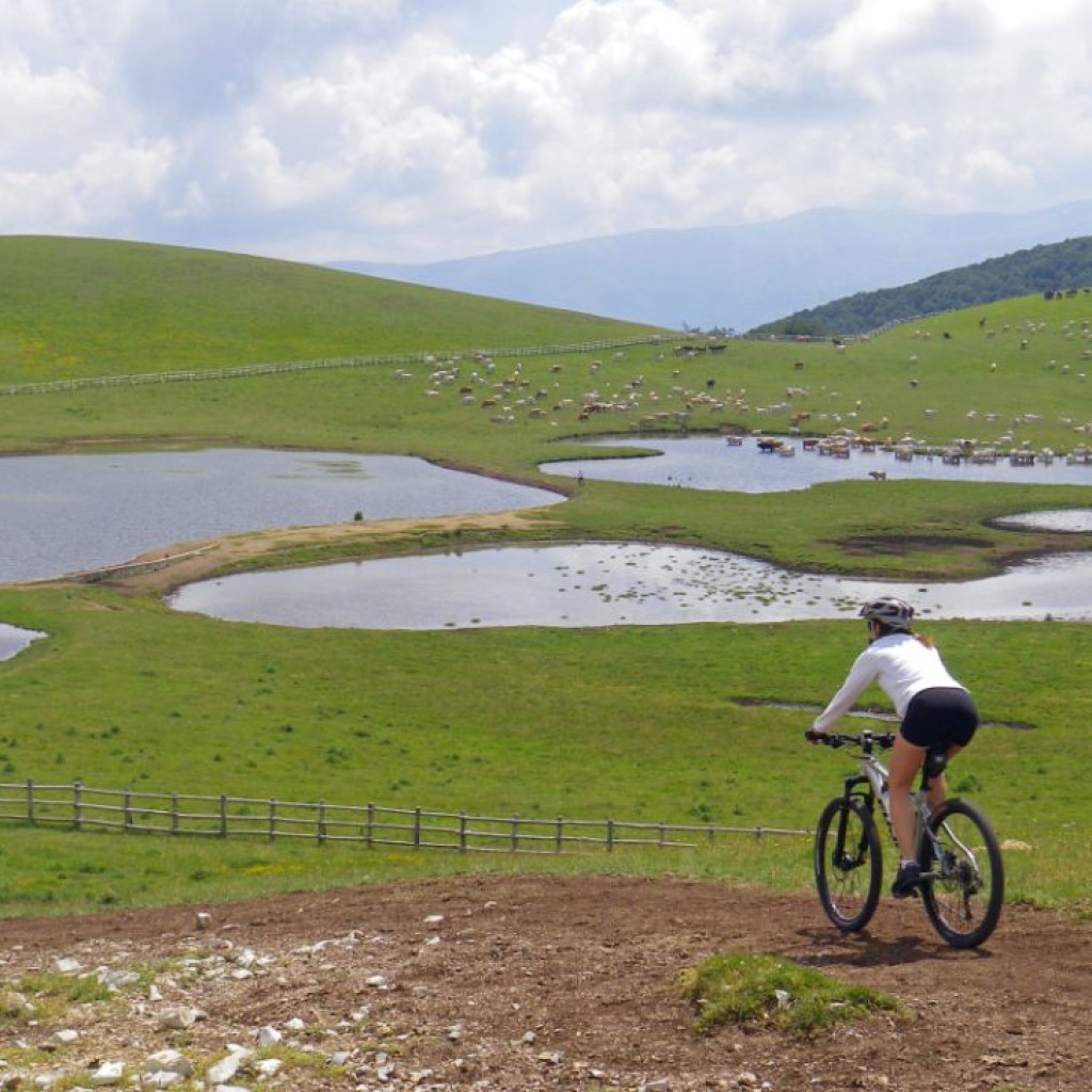 FIORITURA CASTELLUCCIO  06 07 2013 143