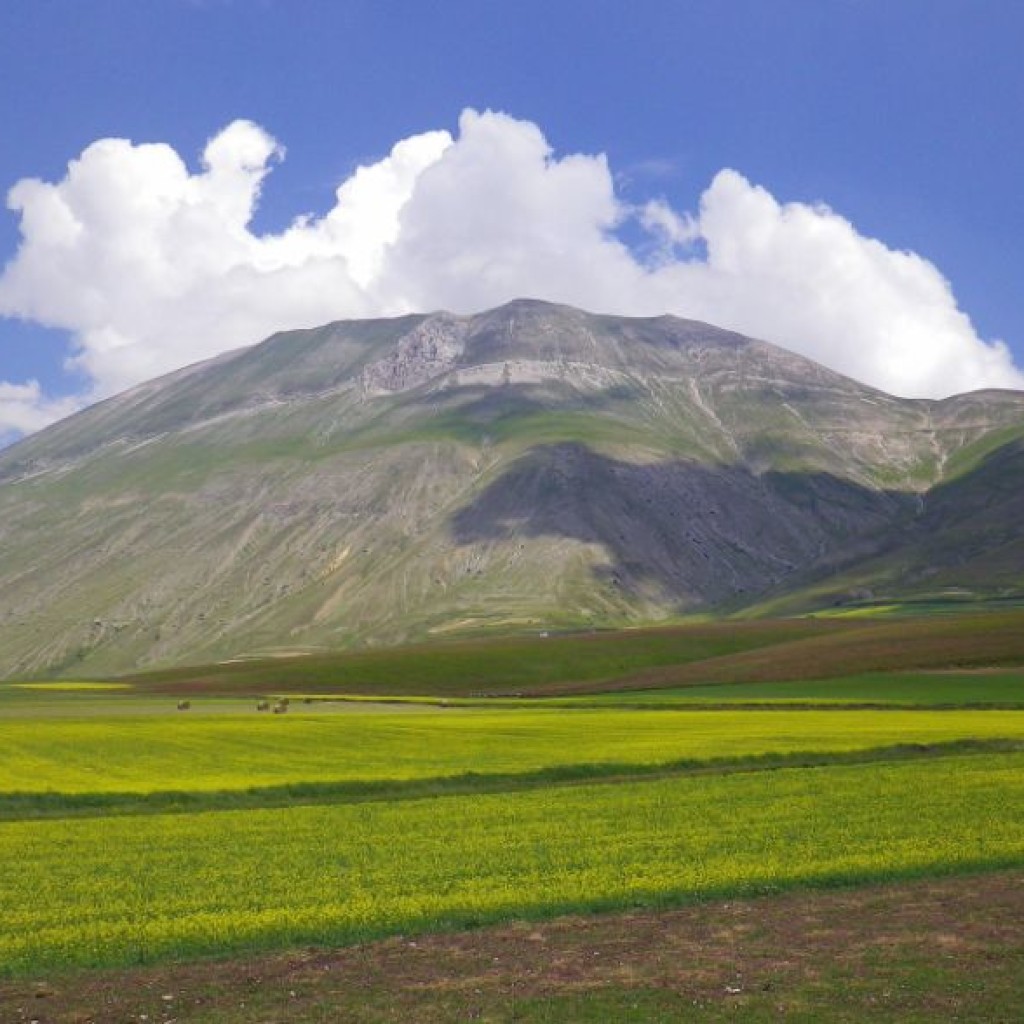 FIORITURA CASTELLUCCIO  06 07 2013 210