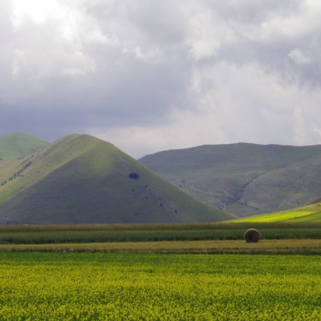 FIORITURA CASTELLUCCIO  06 07 2013 242