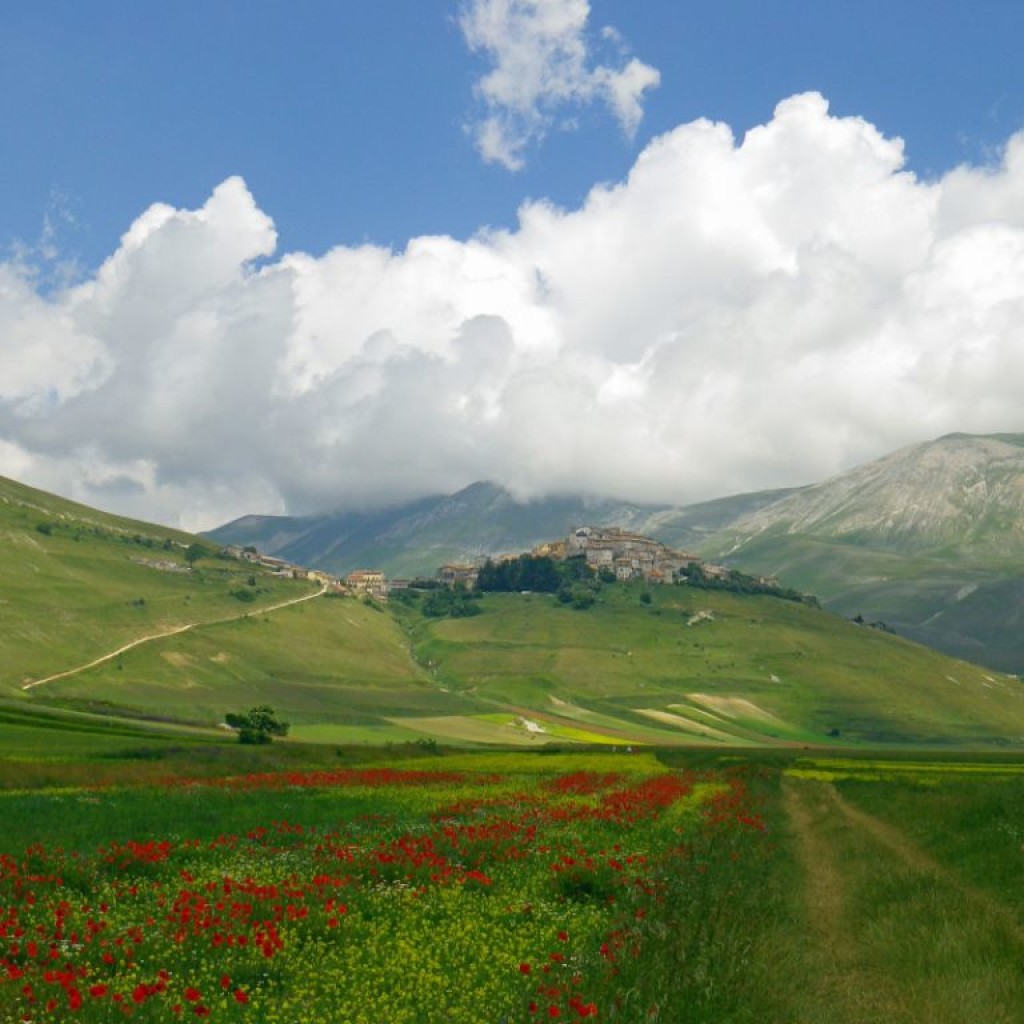 FIORITURA CASTELLUCCIO  06 07 2013 244