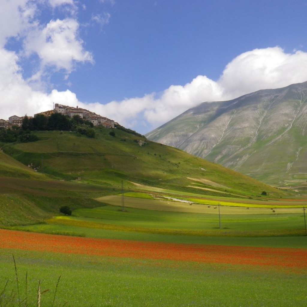 FIORITURA CASTELLUCCIO  06 07 2013 271