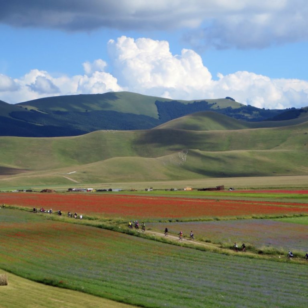 FIORITURA CASTELLUCCIO 12 07 2014 016