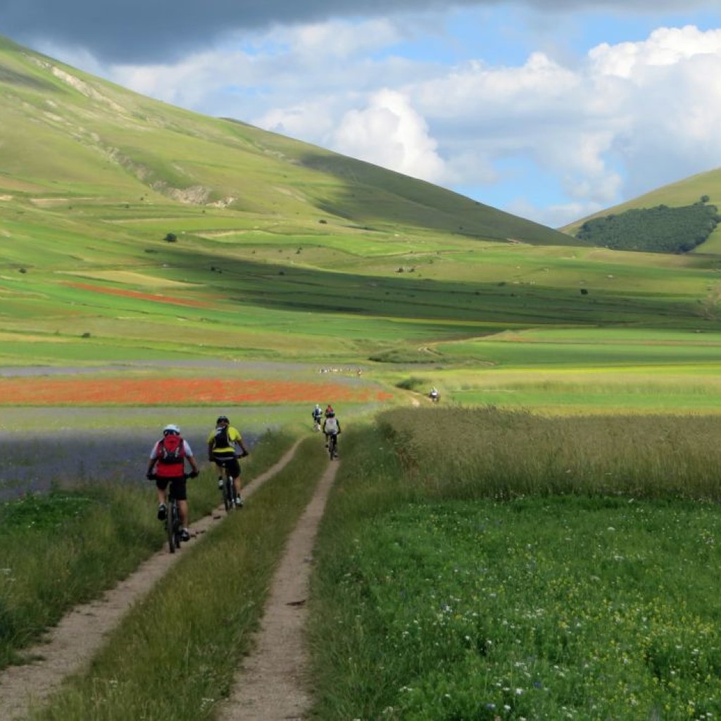 FIORITURA CASTELLUCCIO 12 07 2014 055