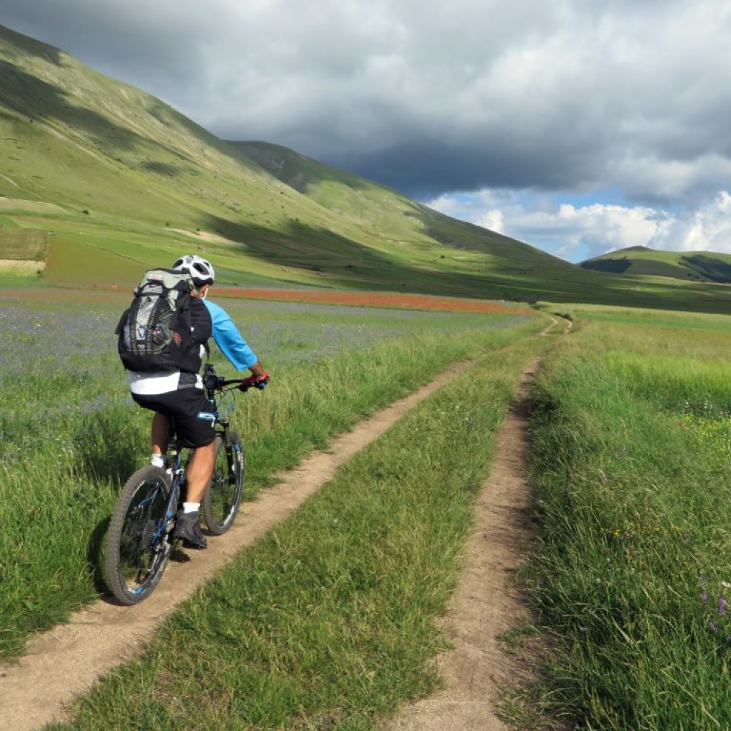 FIORITURA CASTELLUCCIO 12 07 2014 059