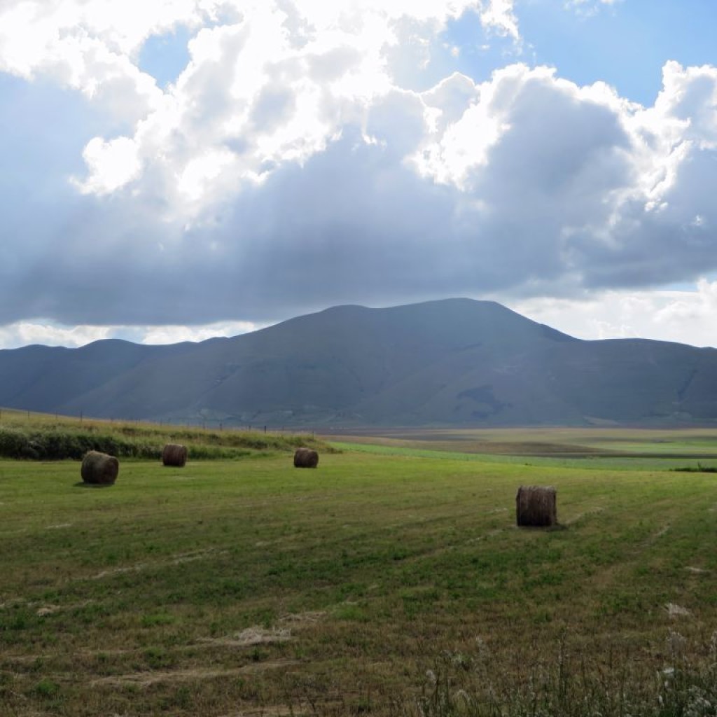 FIORITURA CASTELLUCCIO 12 07 2014 066