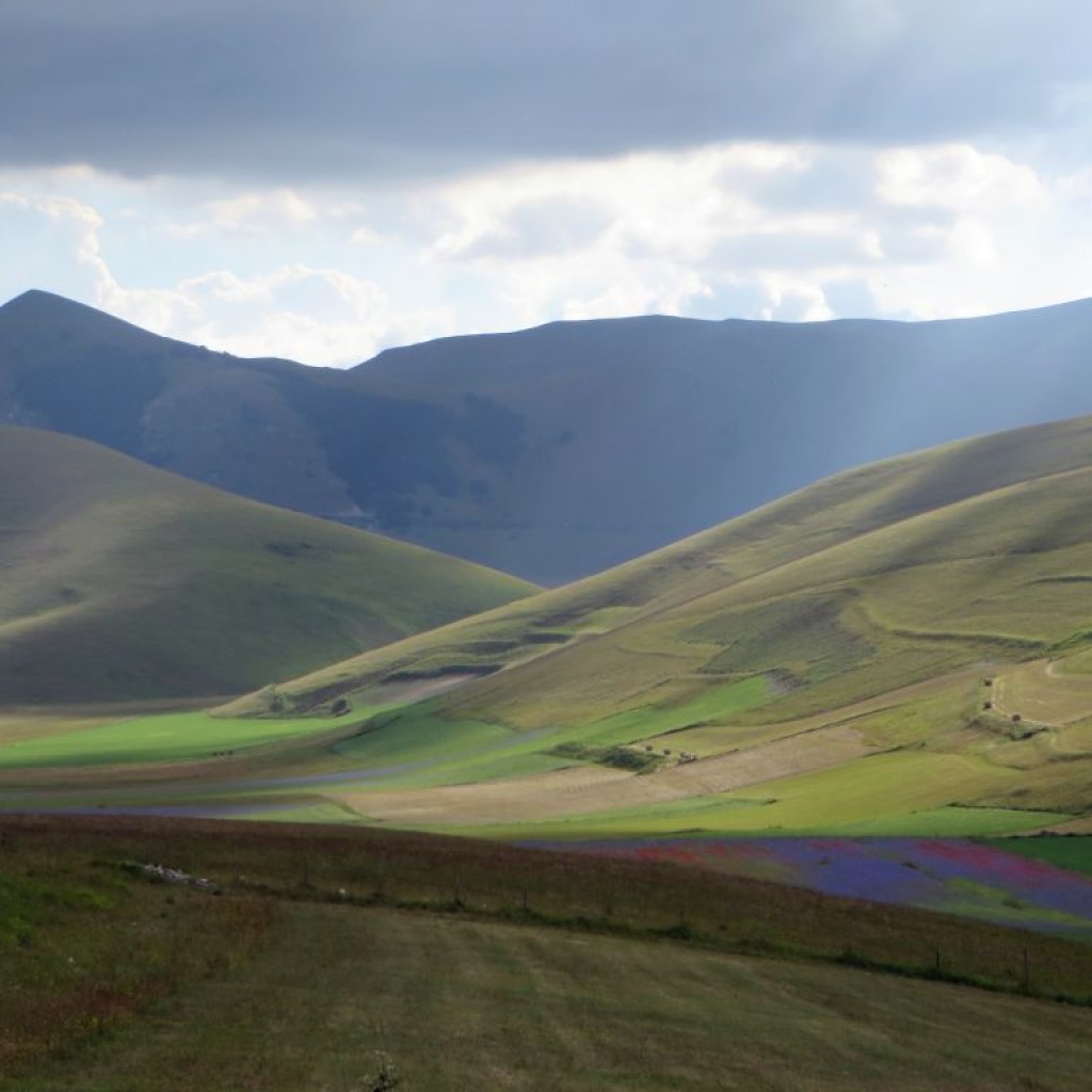 FIORITURA CASTELLUCCIO 12 07 2014 087