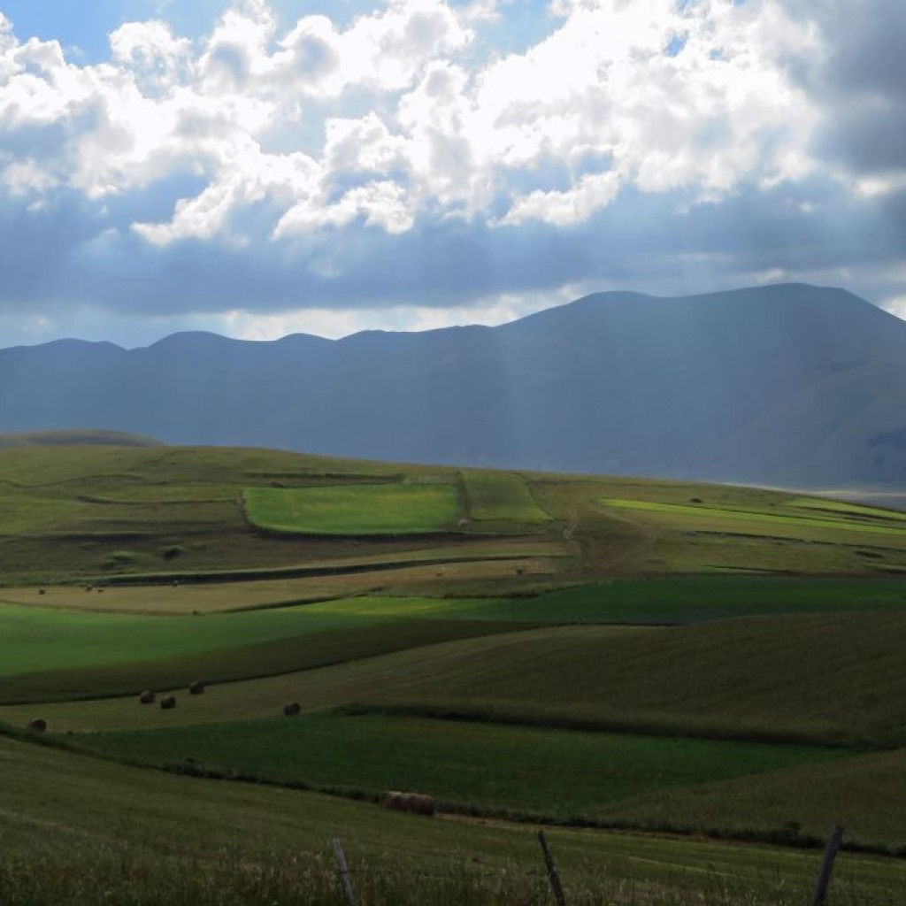 FIORITURA CASTELLUCCIO 12 07 2014 092