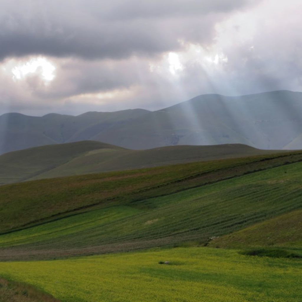 FIORITURA CASTELLUCCIO 12 07 2014 113