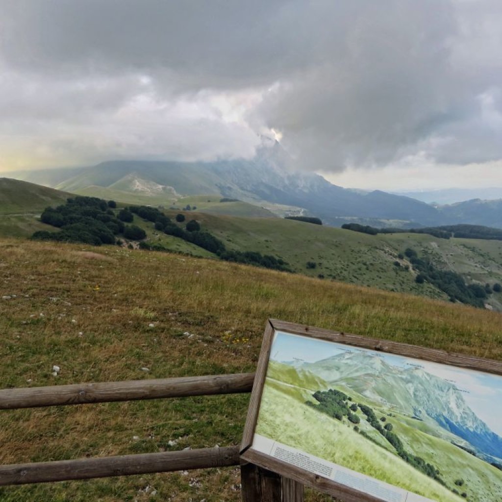 FIORITURA CASTELLUCCIO 12 07 2014 190