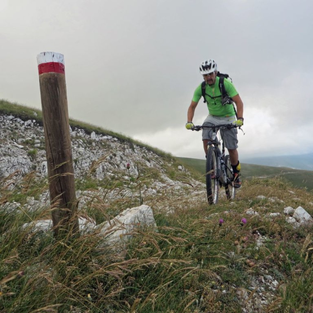 FIORITURA CASTELLUCCIO 12 07 2014 215