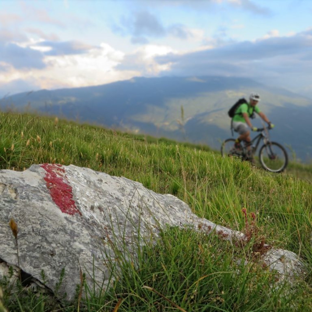 FIORITURA CASTELLUCCIO 12 07 2014 229