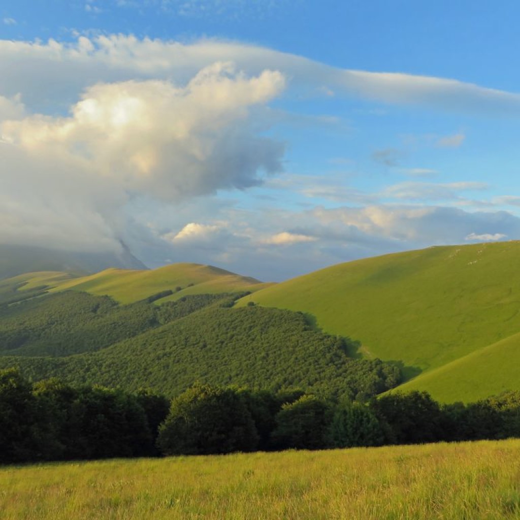 FIORITURA CASTELLUCCIO 12 07 2014 252