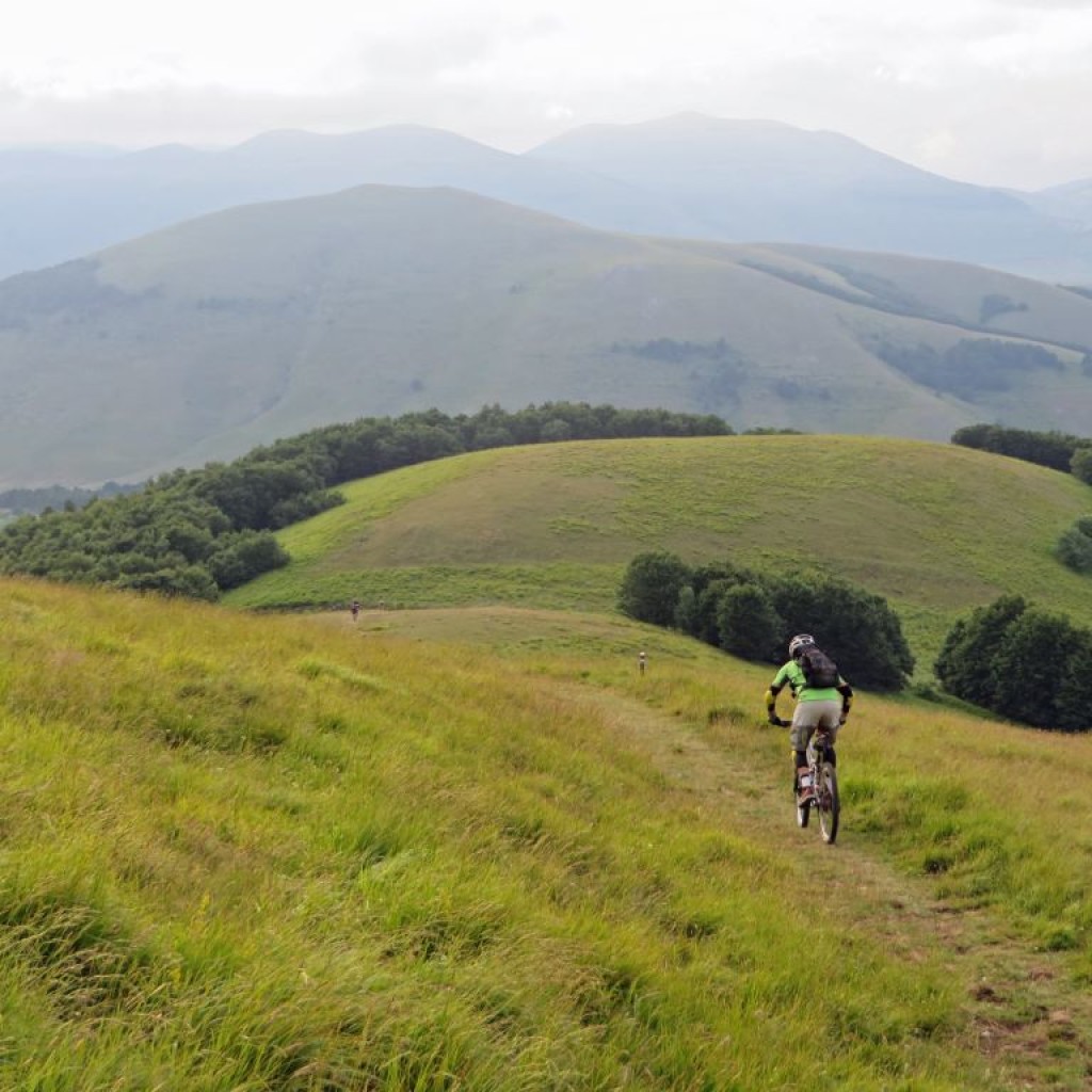 FIORITURA CASTELLUCCIO 12 07 2014 262