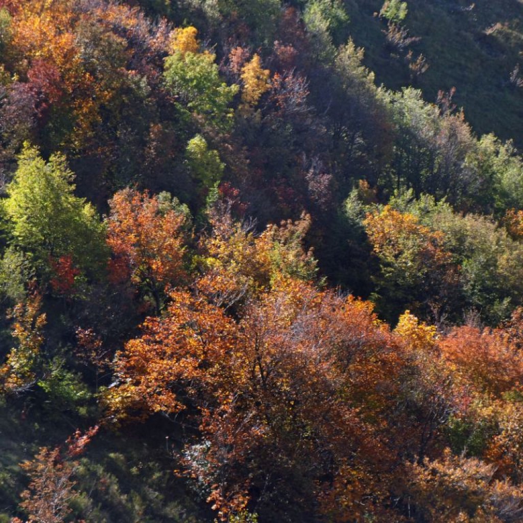 magie dell'autunno