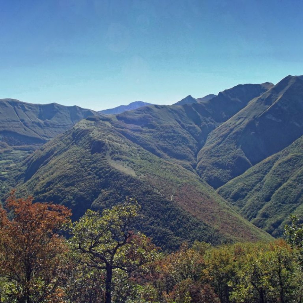 panorama