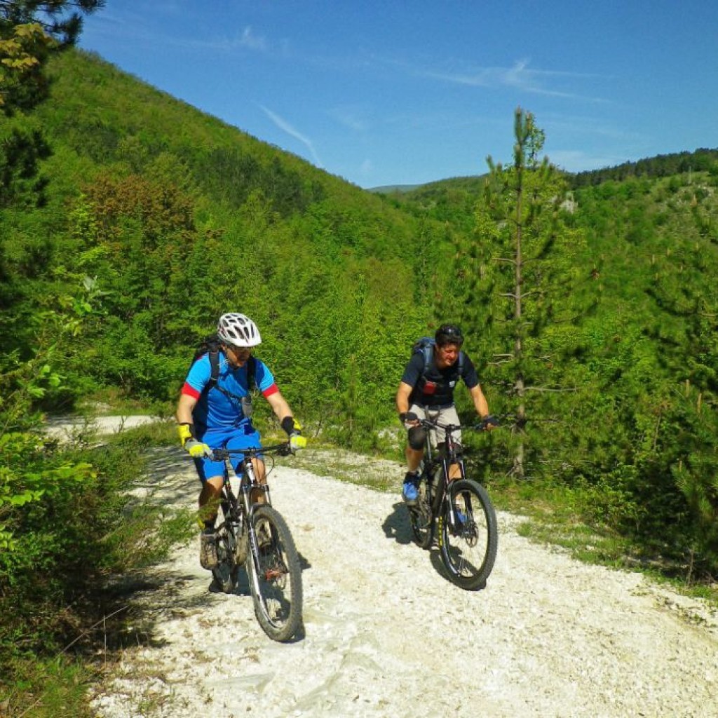 valle delle spiante