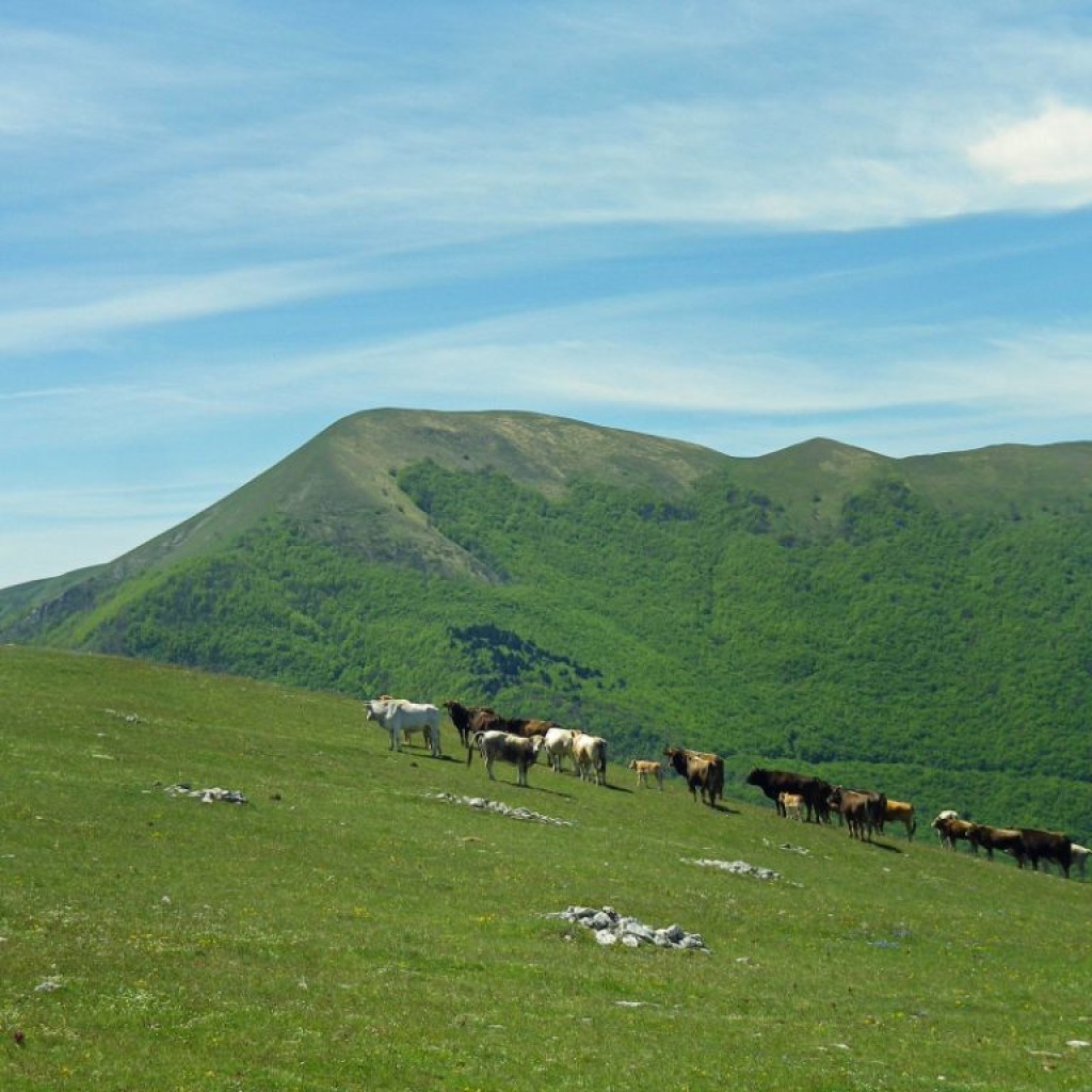 monte pennino