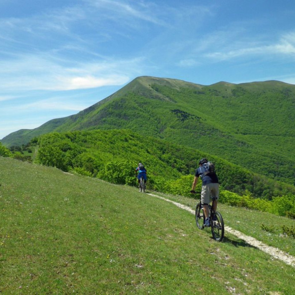 in marcia verso forca di bara