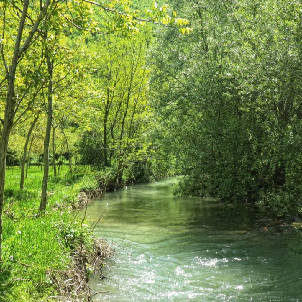 sentiero lungo il potenza