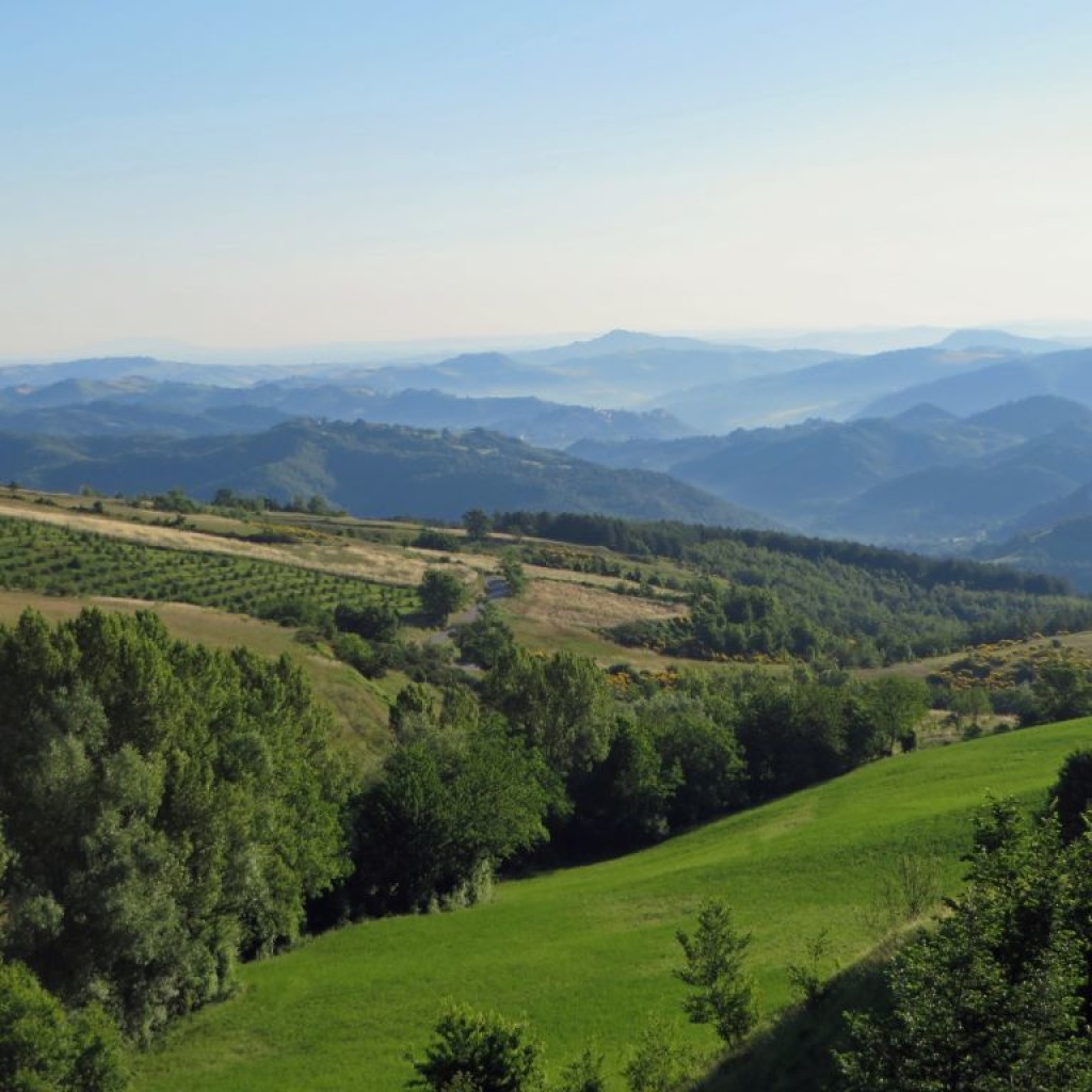 colli del piceno