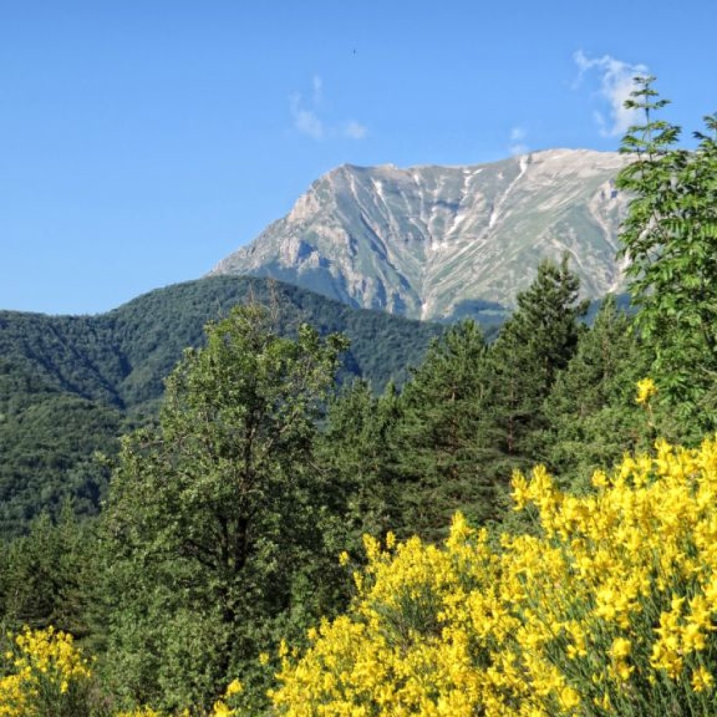 monte vettore