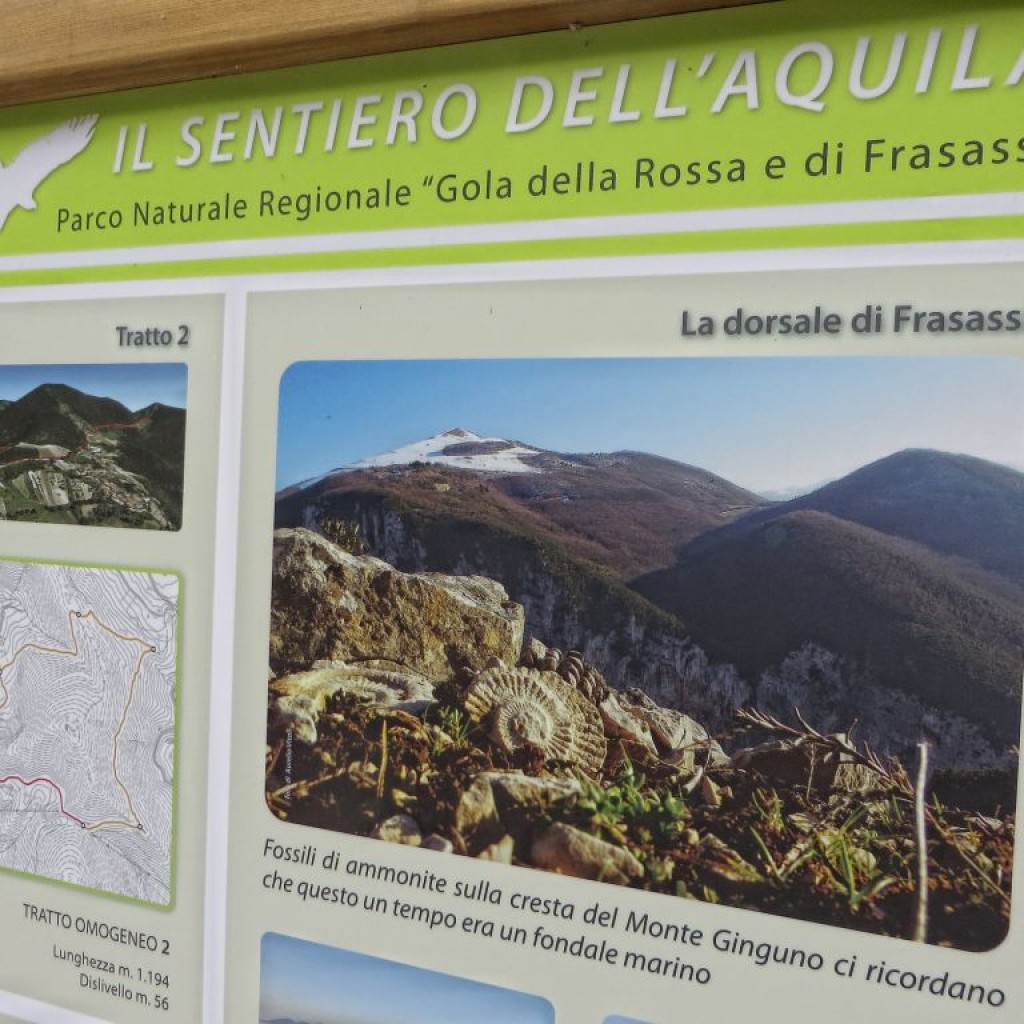GOLA ROSSA  26 07 2014 167