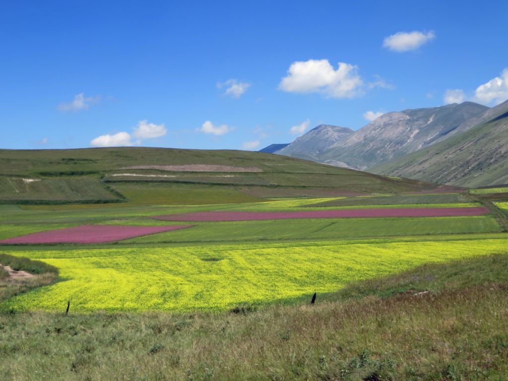 piane di castelluccio