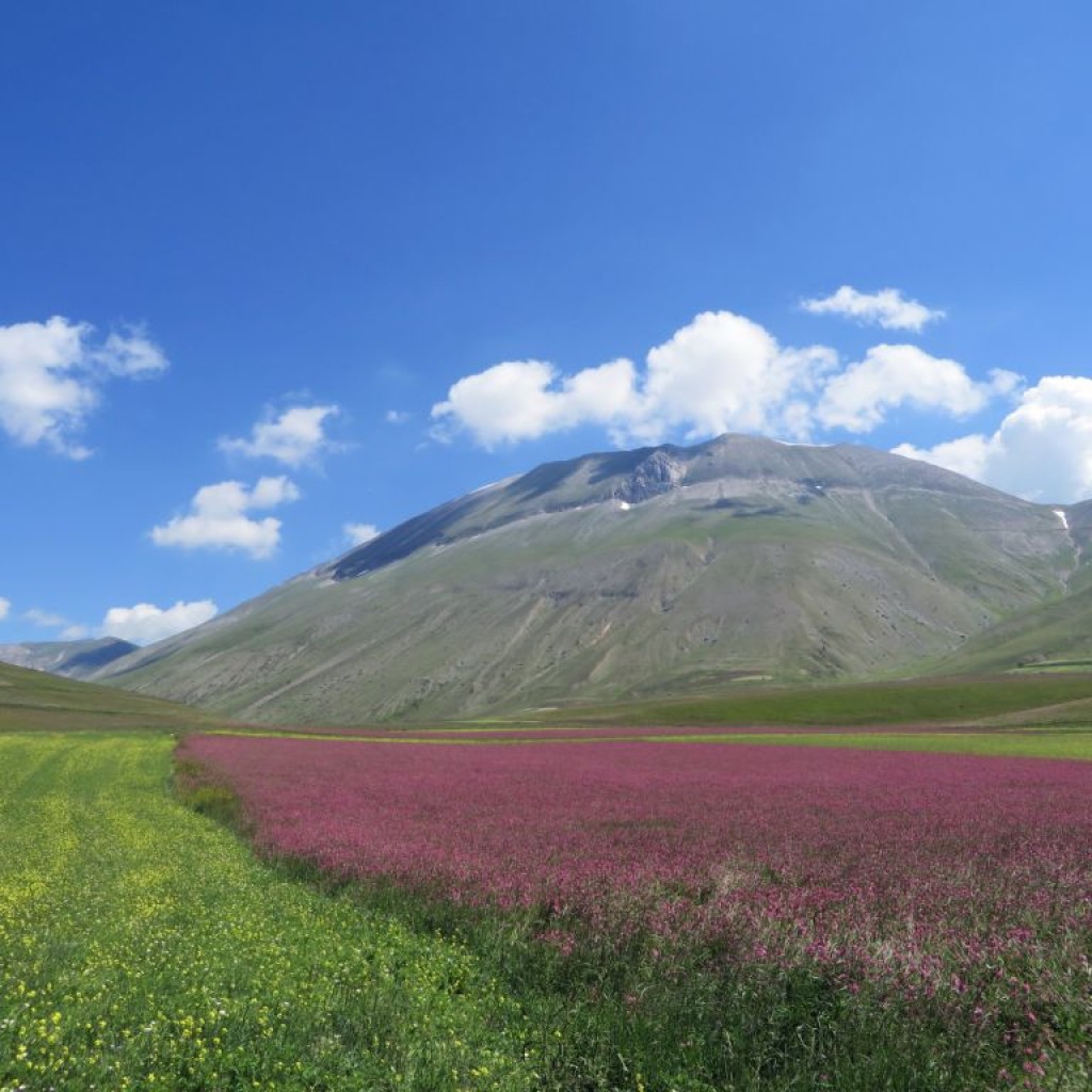 piane di castelluccio