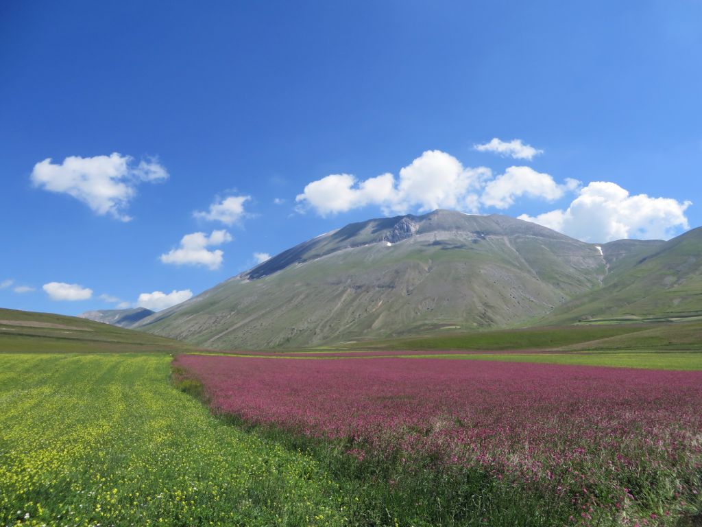 piane di castelluccio