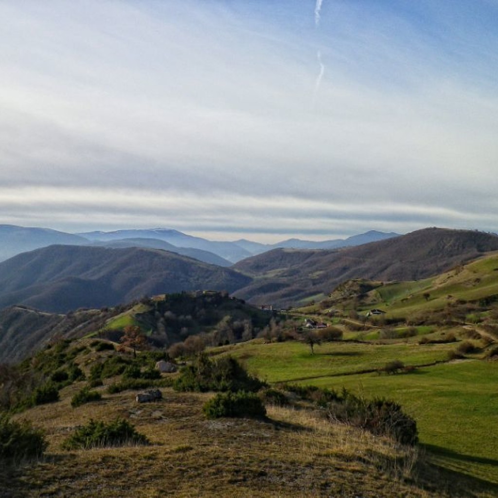 panorama