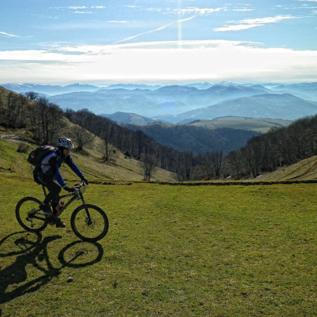 panorama