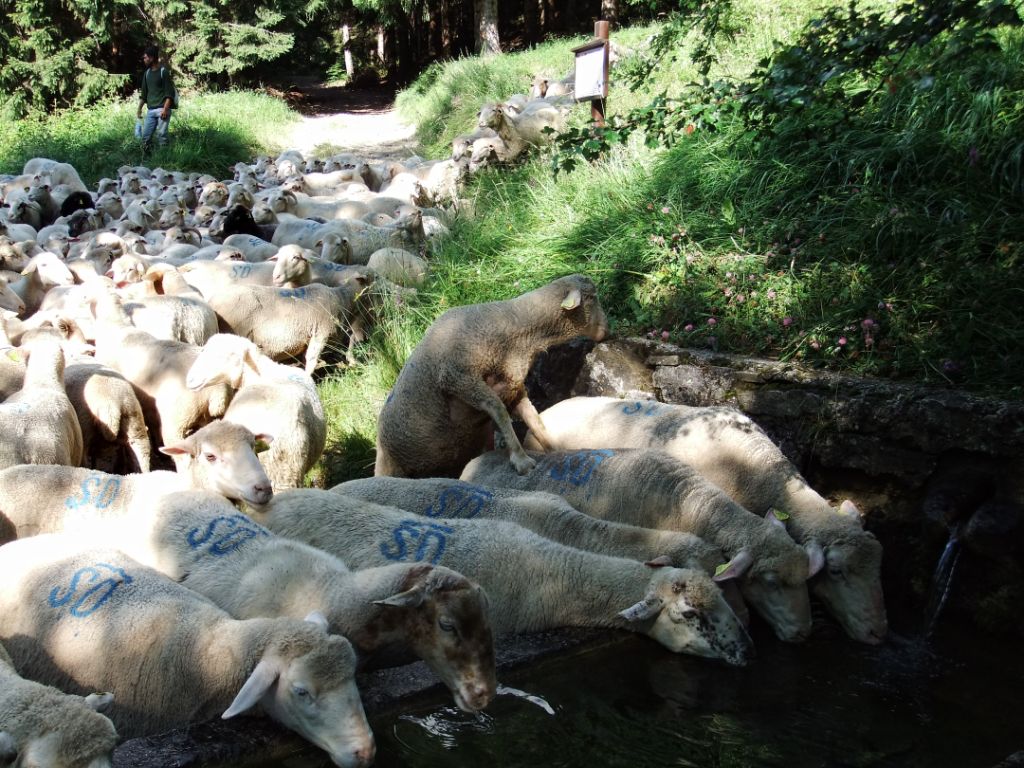 sentiero dei mietitori