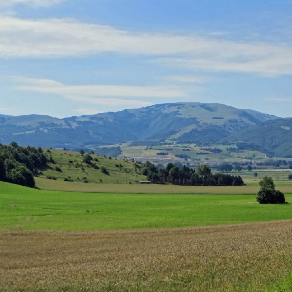 MINUTELLA 22 06 2014 040