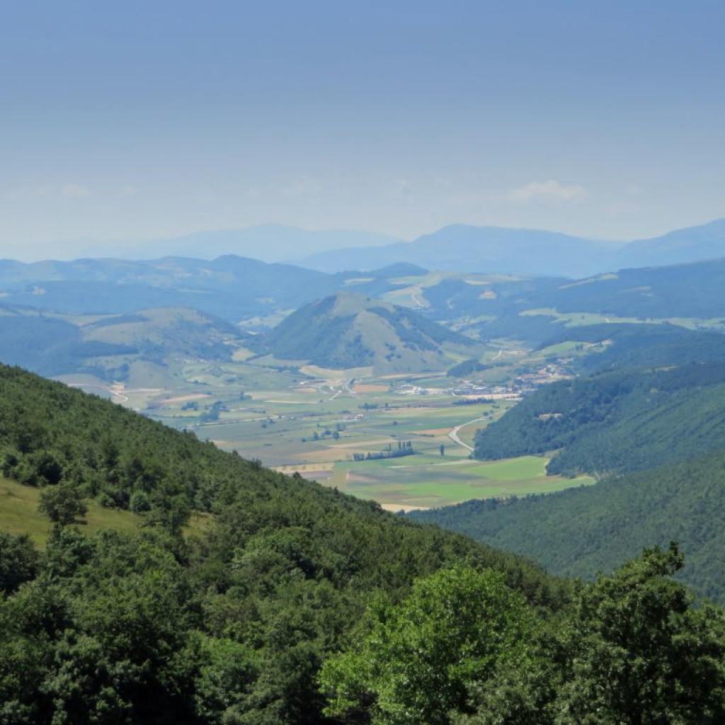 MINUTELLA 22 06 2014 102
