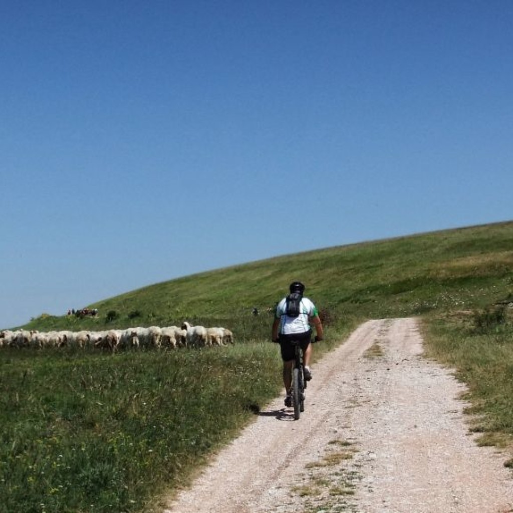 pian del capriolo
