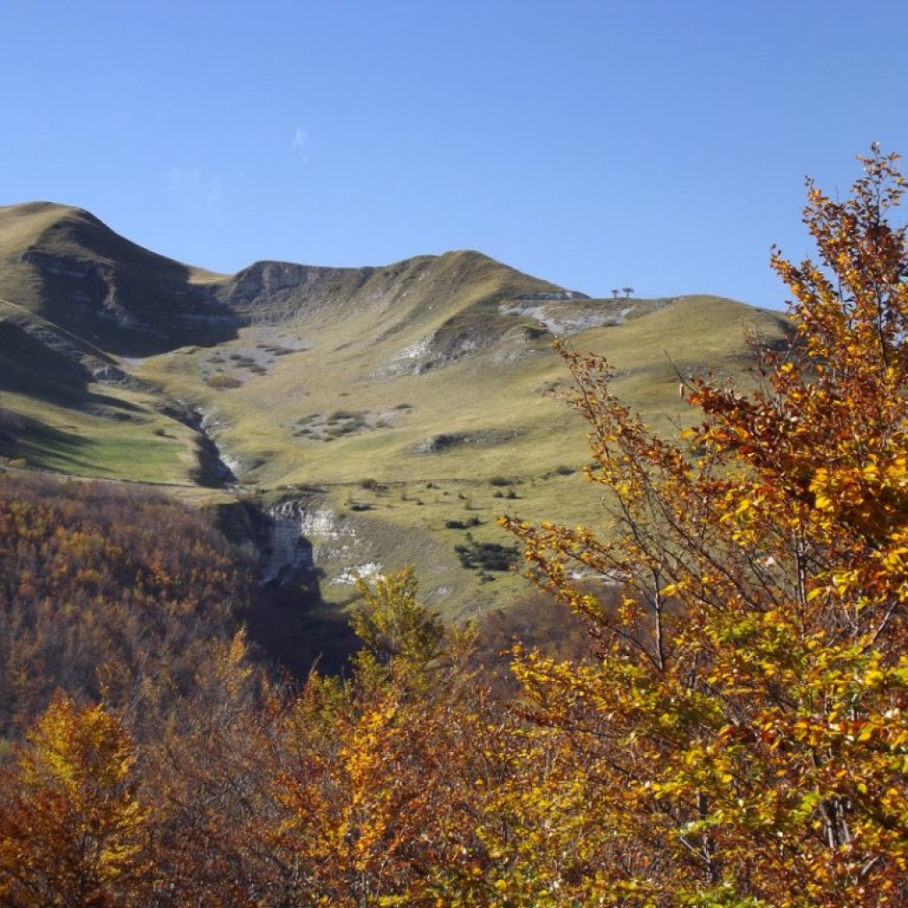 PIZZO META 20 10 2013 076