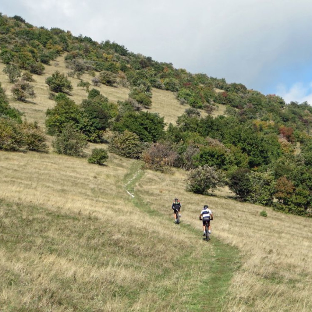 SAN CATALDO  12 10 2014 033