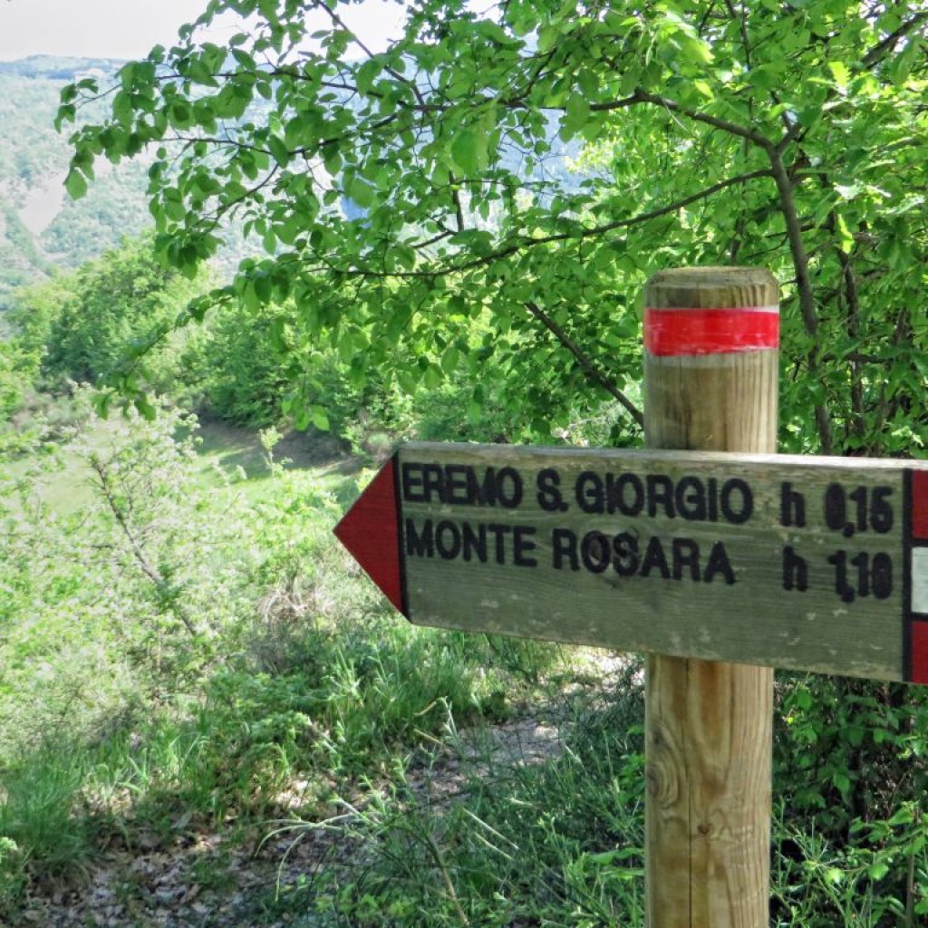 SENTIERO DEL BRIGANTE 02 05 2015 188