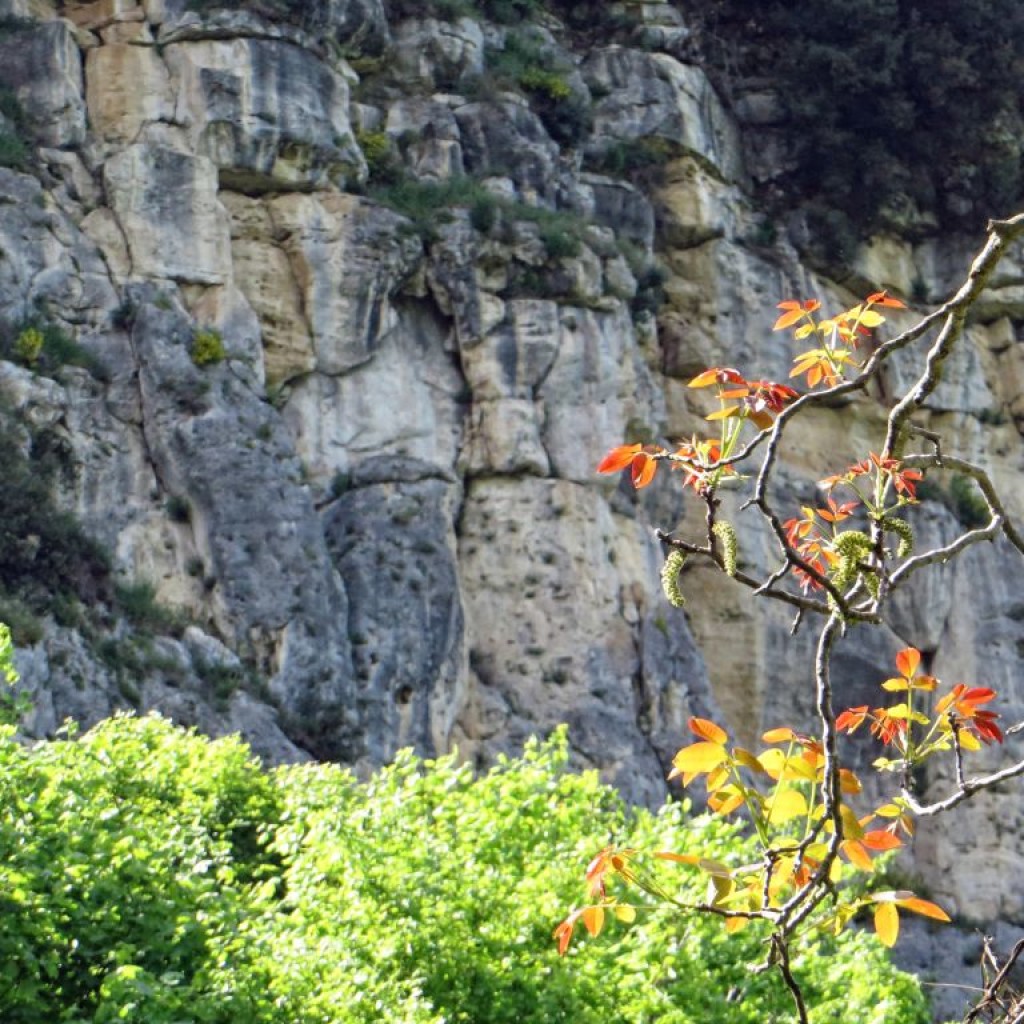 SENTIERO DEL BRIGANTE 02 05 2015 198
