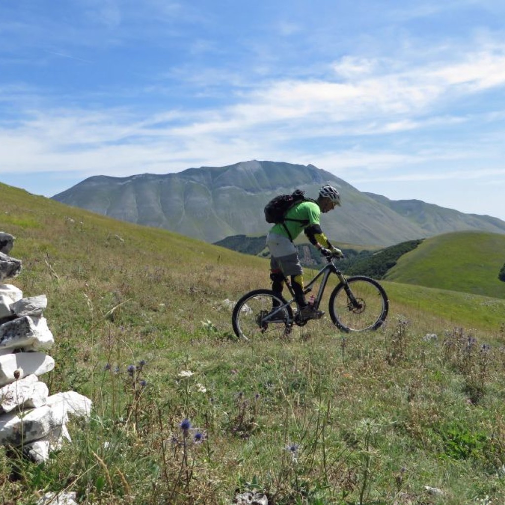 passo rapegna